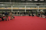 Saint Etienne 2007102