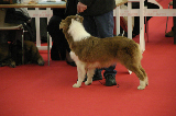 Saint Etienne 2007173