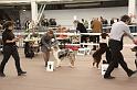 IMG_0016