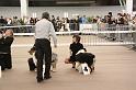 IMG_0019