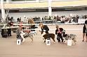 IMG_0027