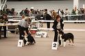 IMG_0035