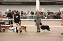 IMG_0045