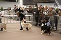 IMG_0051