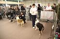 IMG_0056