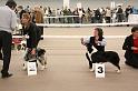IMG_0064