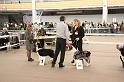 IMG_0068