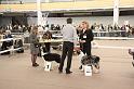 IMG_0069