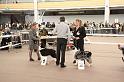IMG_0070
