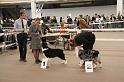 IMG_0071
