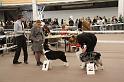 IMG_0072
