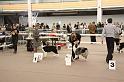 IMG_0077