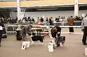 IMG_0079