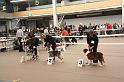 IMG_0081