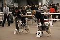 IMG_0086