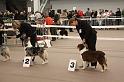 IMG_0088