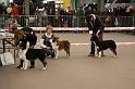 IMG_0099