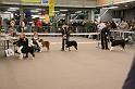 IMG_0101