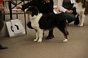 IMG_0105
