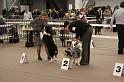 IMG_0110