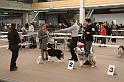 IMG_0111