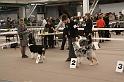 IMG_0115