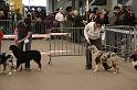 IMG_0130