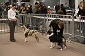 IMG_0131