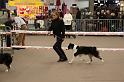 IMG_0135