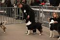 IMG_0139
