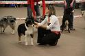 IMG_0147