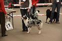 IMG_0149