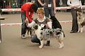 IMG_0158