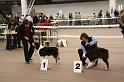 IMG_0180