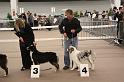 IMG_0190