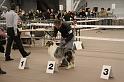 IMG_0191