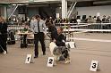 IMG_0196