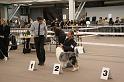 IMG_0197