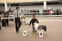 IMG_0198