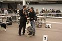 IMG_0203