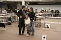 IMG_0204
