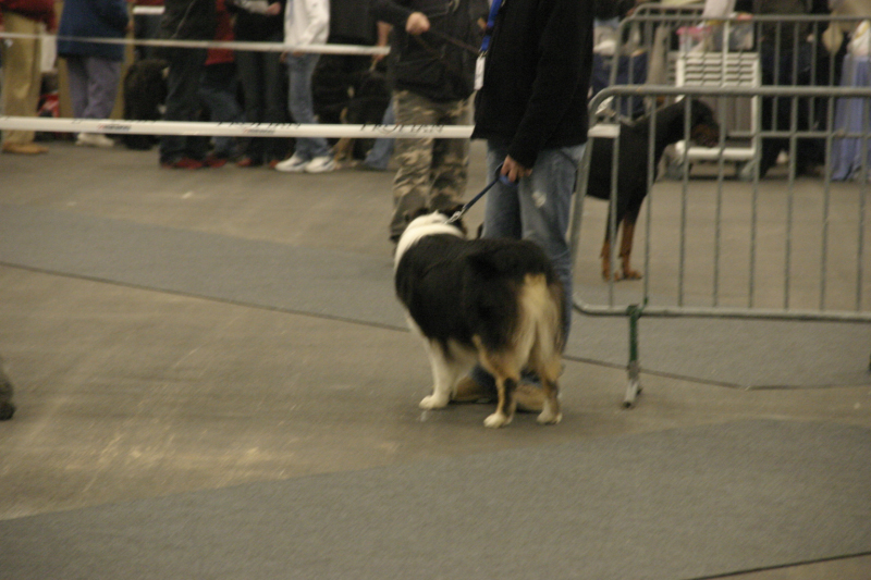 Strasbourg023