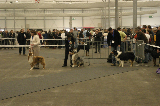 Strasbourg020