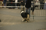 Strasbourg023