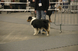 Strasbourg024