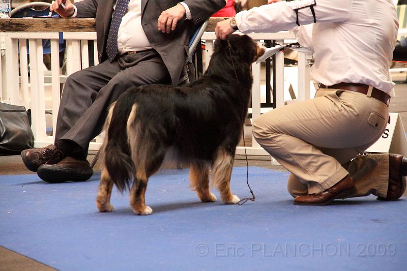 DPP_0076.JPG