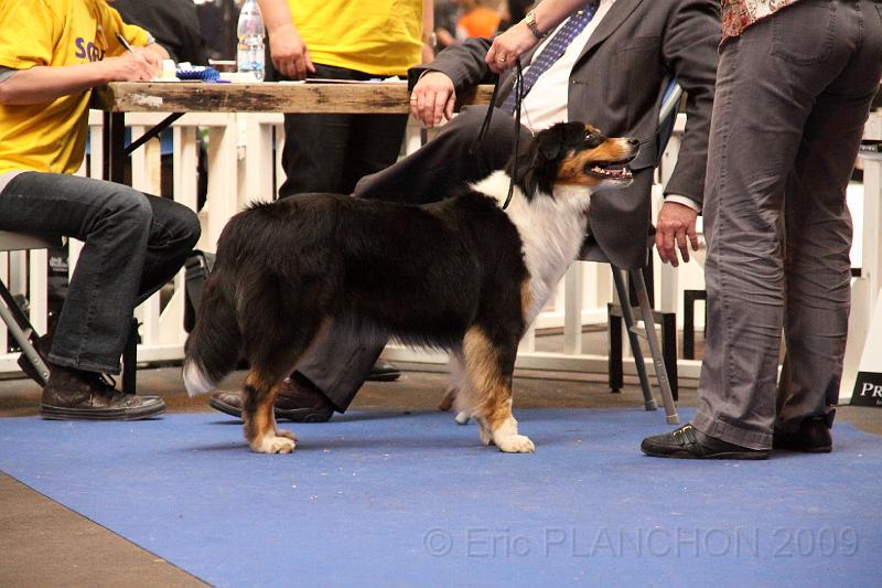 DPP_0116.JPG