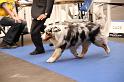 DPP_0151