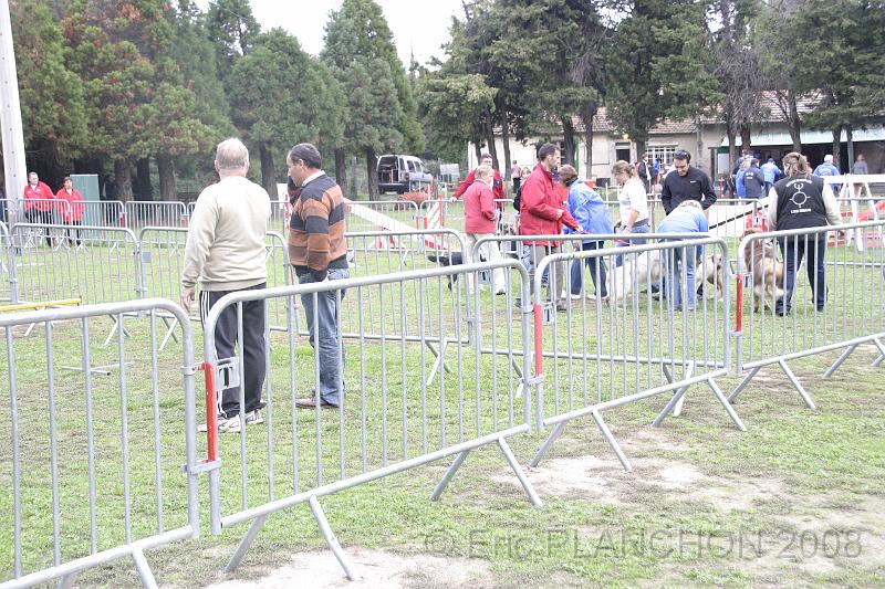 Tarascon_0013.JPG