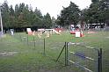 Tarascon_0003